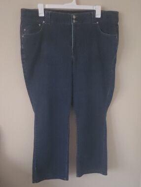 Lane Bryant Tighter Tummy Straight Jeans